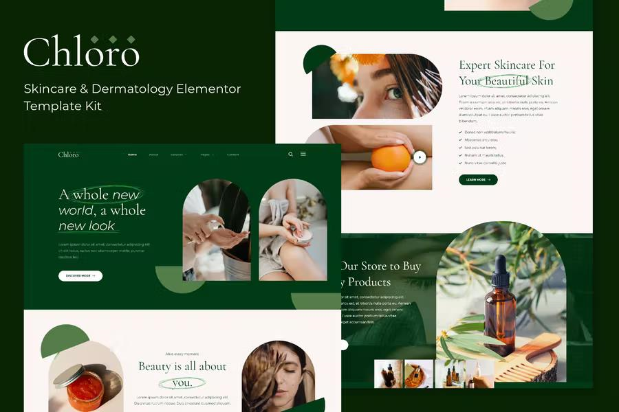 CHYRO – CHIROPRACTIC & PHYSIOTHERAPY ELEMENTOR TEMPLATE KIT